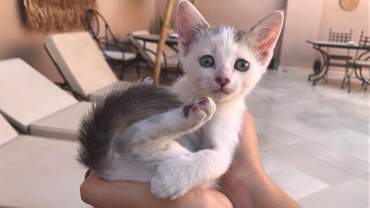 Riad Dar Nossa Маракеш Екстериор снимка